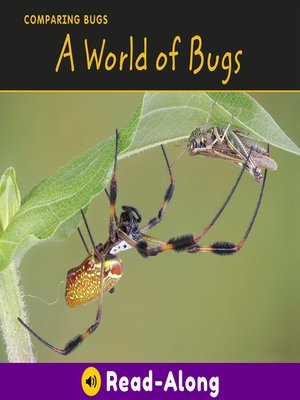 cover image of World of Bugs
